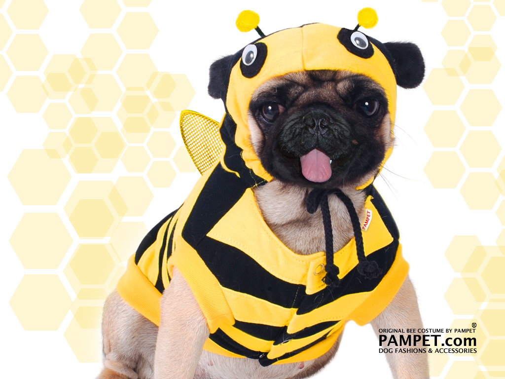 Dog Bee Costume